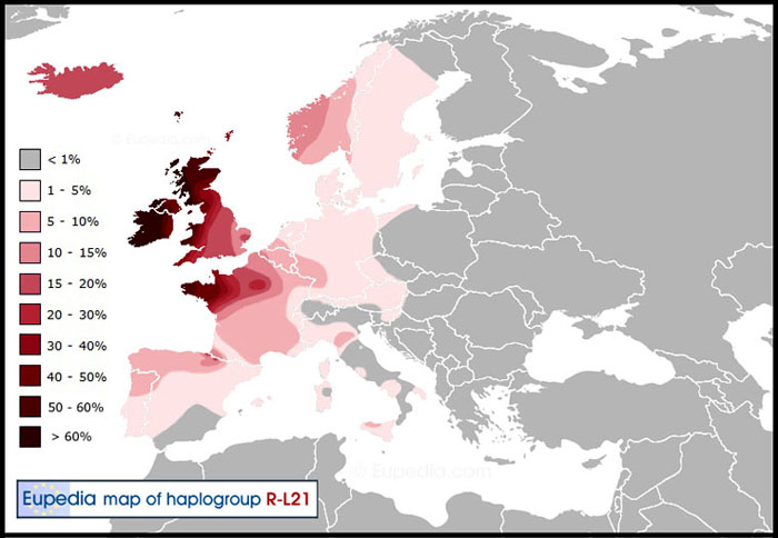 Haplogroupp R-L21 Distribution Map
